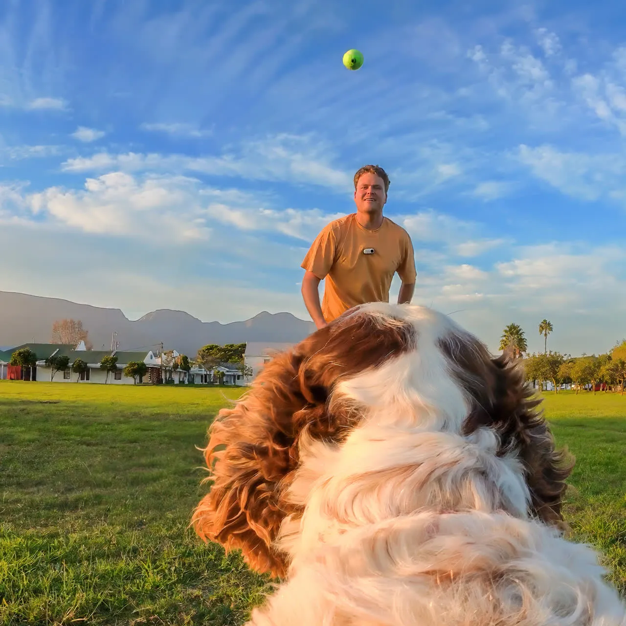 Insta360 Pet Harness Mount Size S